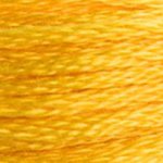 DMC Stranded Cotton 972