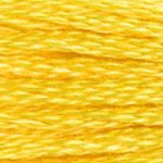 DMC Stranded Cotton 973