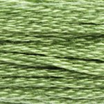 DMC Stranded Cotton 989