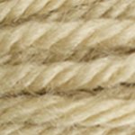 DMC Tapestry Wool 7493