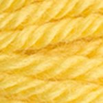 DMC Tapestry Wool 7504