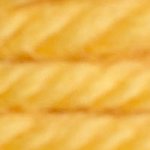 DMC Tapestry Wool 7725