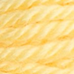 DMC Tapestry Wool 7727