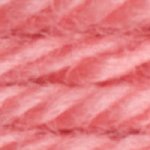 DMC Tapestry Wool 7761
