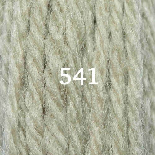 Appletons Crewel Skein 541