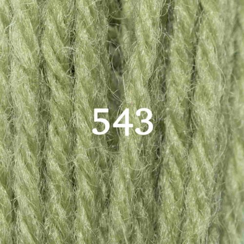 Appletons Crewel Skein 543