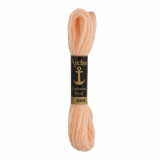 Anchor Tapestry Wool 8302