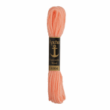 Anchor Tapestry Wool 8304